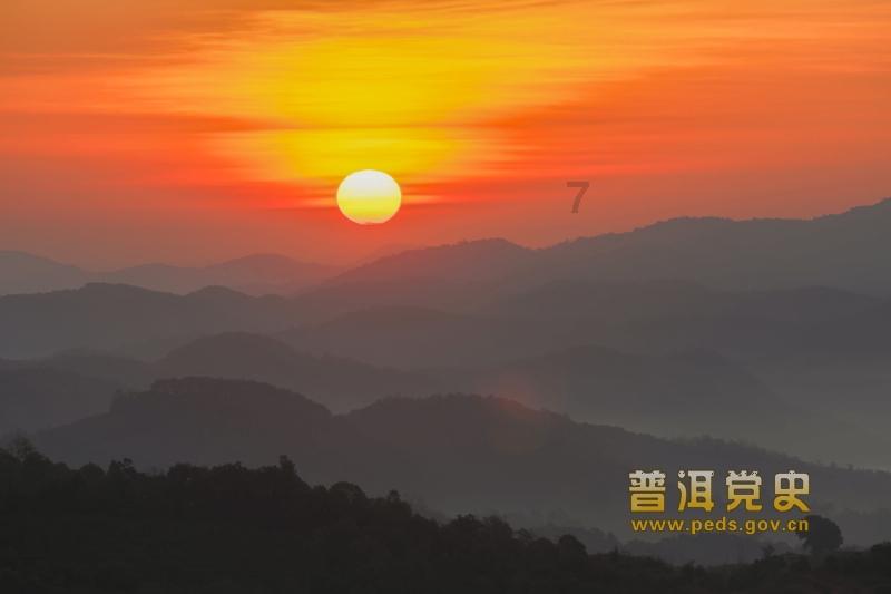 救援大嘴鸟