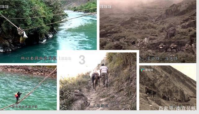 你能逃离此地吗